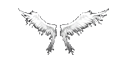 Wings of Heaven