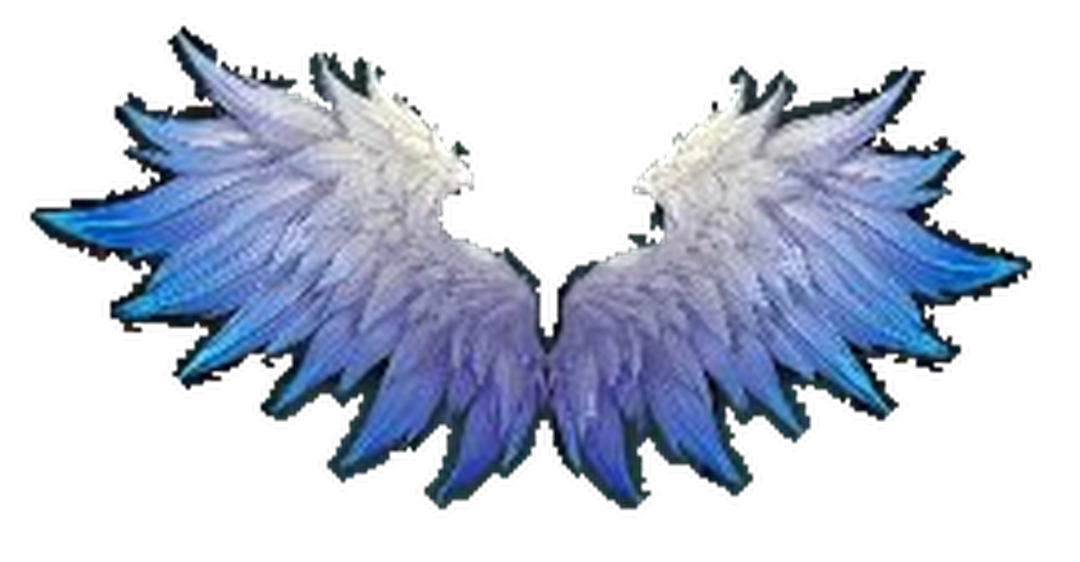 Legend Wing of Eternal